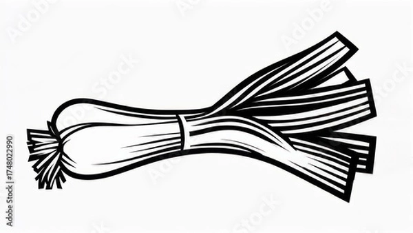 Fototapeta Black and white illustration of a leek, showcasing details of the vegetable's structure
