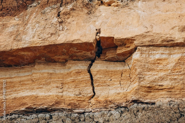 Fototapeta Brown cliff rock formations Textures and patterns backgrounds 