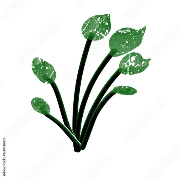 Obraz Minimal plant illustration with five green speckled leaves on curved black stems