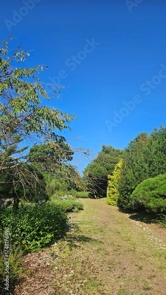 Obraz path in the park