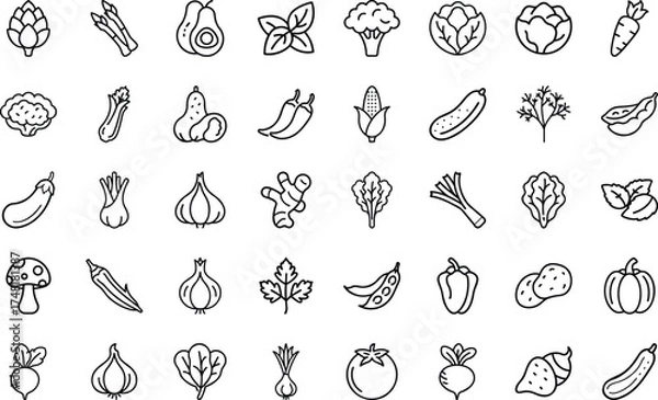 Fototapeta Vegetable And Organic Food icon set.  Collection With vegetable, tomato, cucumber, onion, pumpkin, pepper, eggplant, zucchini, avocado, spinach, peas, corn, garlic, Vector Icon Set On White Background