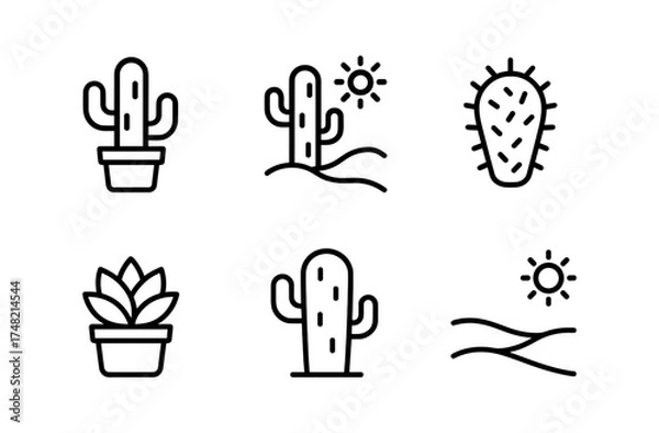 Fototapeta Minimalist set of cacti and succulents with sun in outline style