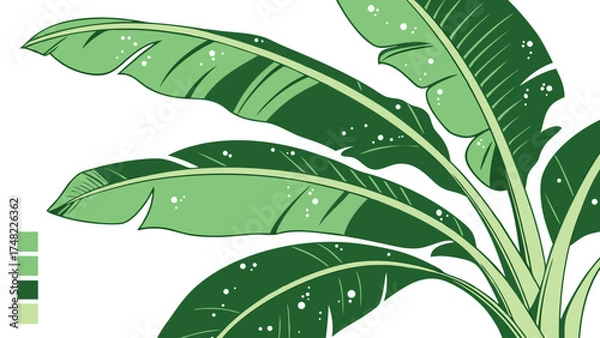 Obraz Banana Leaf Illustration on White Background.