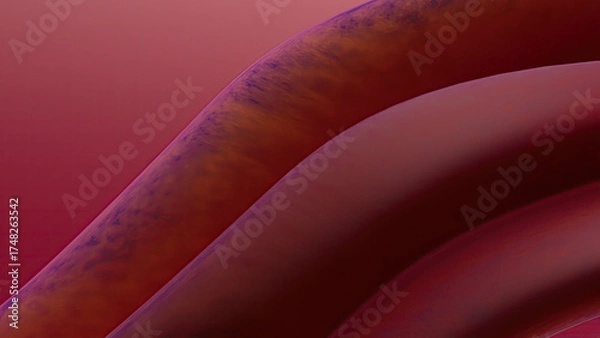 Obraz Abstract Red and Purple Curves