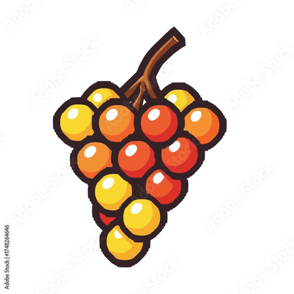 Fototapeta Colorful bunch of grapes with various shades of red orange and yellow.