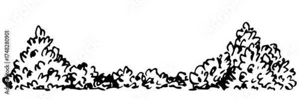 Fototapeta Bushes, forest vegetation, deciduous shrub. Nature and plants. Floral border, fence. Landscape design, gardening. Hand drawn vector drawing with black outline, ink sketch.