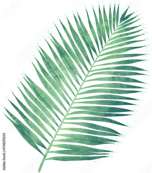 Obraz Watercolor Coconut Leaves with Gardenia Flower