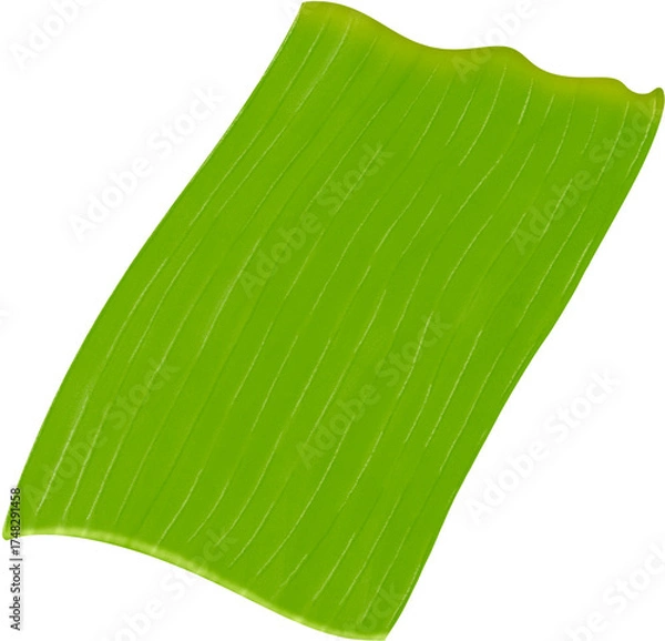 Obraz Watercolor Banana Leaf