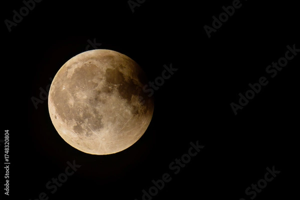 Fototapeta total lunar eclipse a special phenomenon 