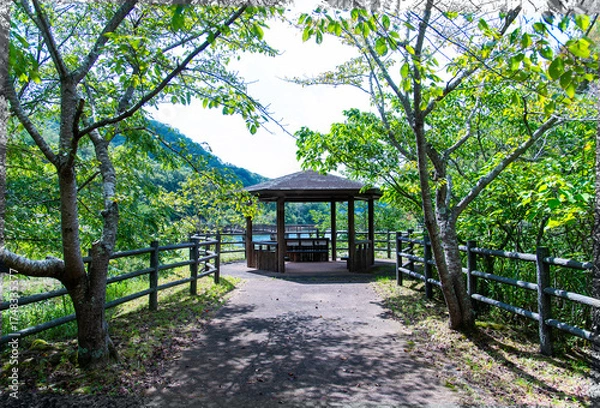 Obraz 新緑に包まれる東屋
