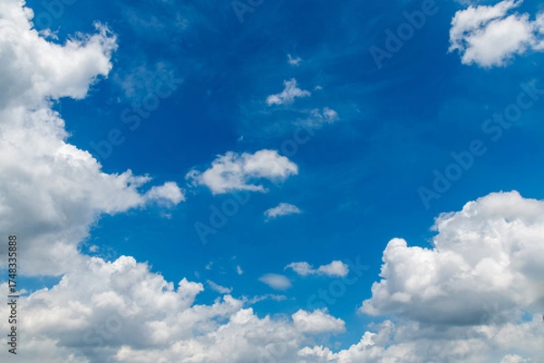 Obraz 夏の青空と白い雲
