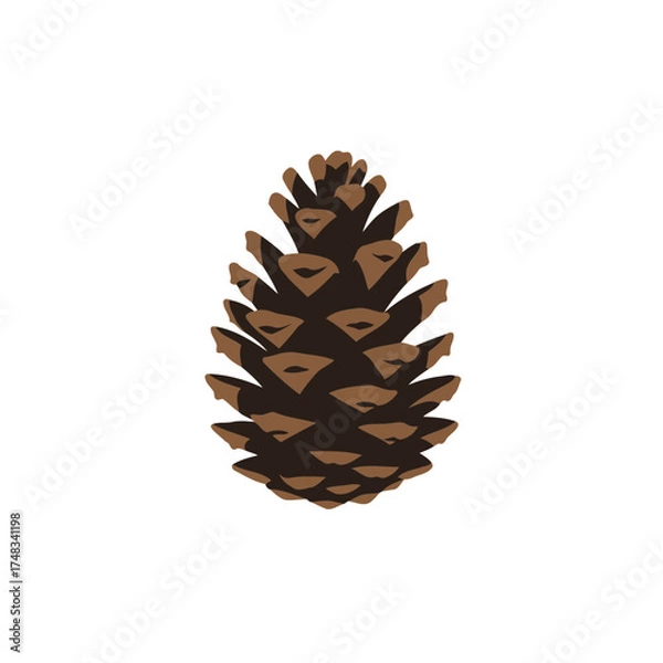 Fototapeta Isolated Rustic Brown Pine Cone Vector Illustration