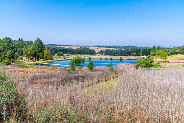 Fototapeta A view towards a fly fishing pond in Dullstroom, South Africa in Springtime