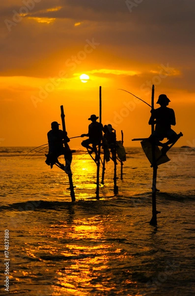 Fototapeta Silhouettes of the traditional stilt