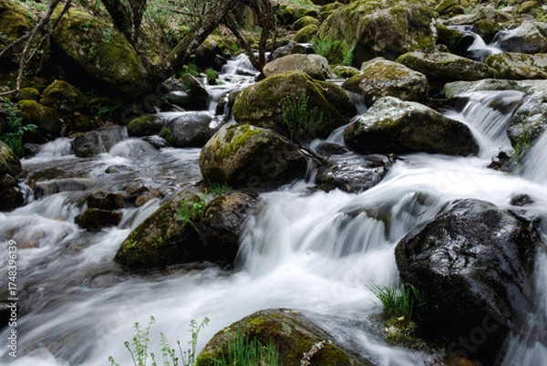 Fototapeta crystal clear water flows between the rocks