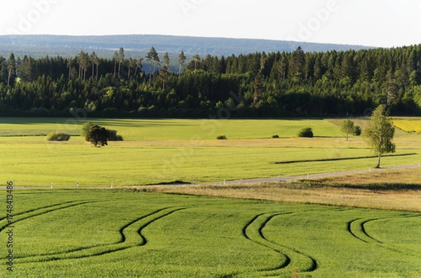 Obraz Tractor Tracks Across Green Fields