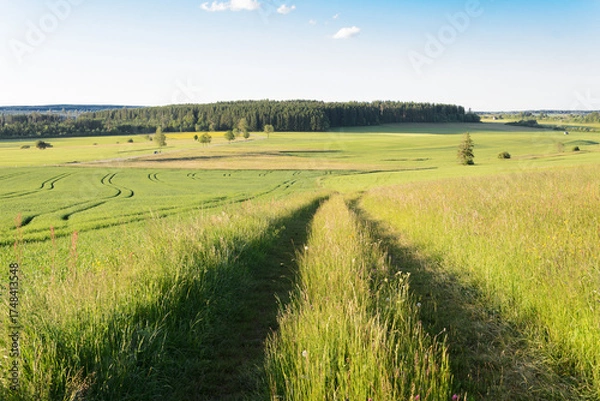 Obraz Tractor Path Leading Through Rural Fields