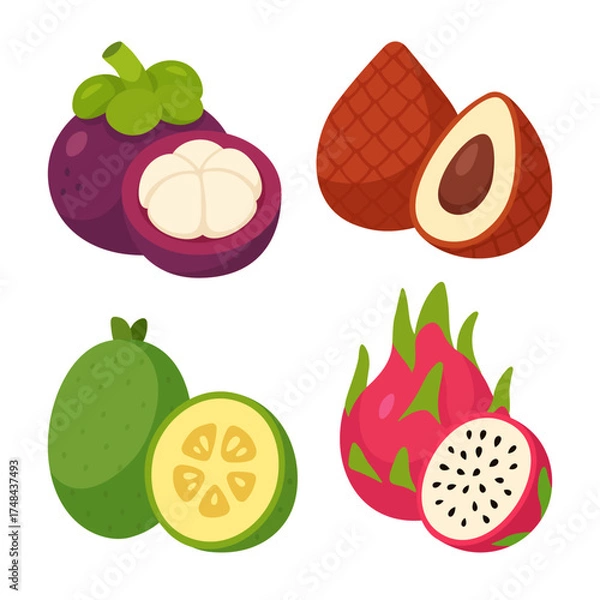 Fototapeta Exotic tropical fruits vector set – salak snake fruit, dragon fruit pitahaya, mangosteen and feijoa – flat colorful illustration for healthy food, packaging, culinary and diet concepts