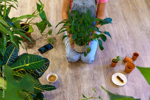 Fototapeta A woman surrounded by several houseplants. 