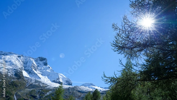 Fototapeta Majestic snow-capped mountains rise against a clear blue sky, with sunlight filtering through lush green trees, creating a serene and tranquil natural landscape