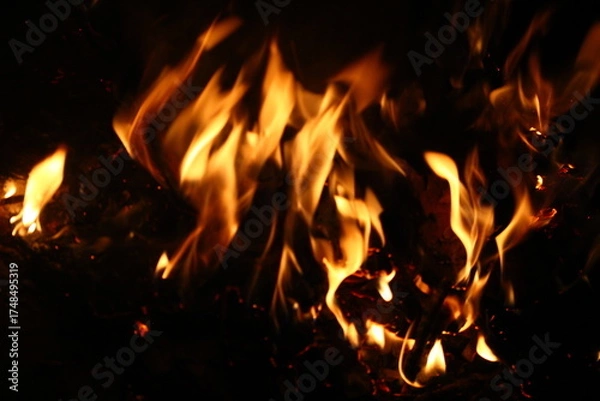 Obraz fire in the fireplace