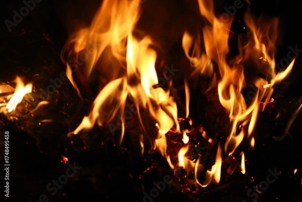 Obraz fire in the fireplace