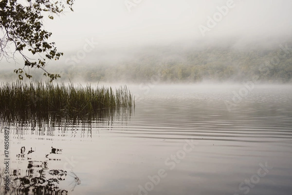 Obraz misty lake