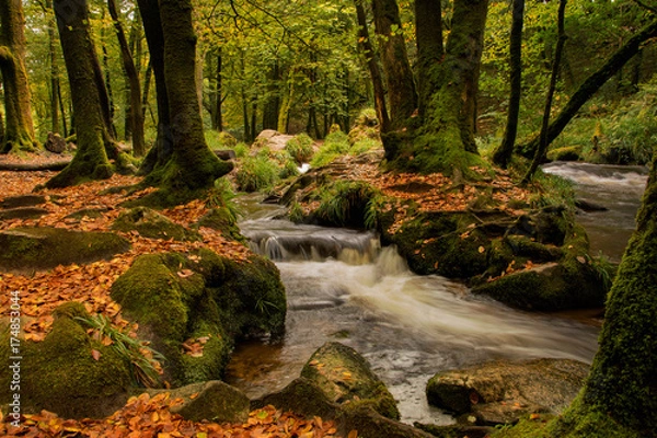 Obraz golitah falls cornwall