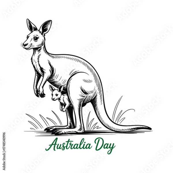 Fototapeta Kangaroo with Joey Illustration for Australia Day