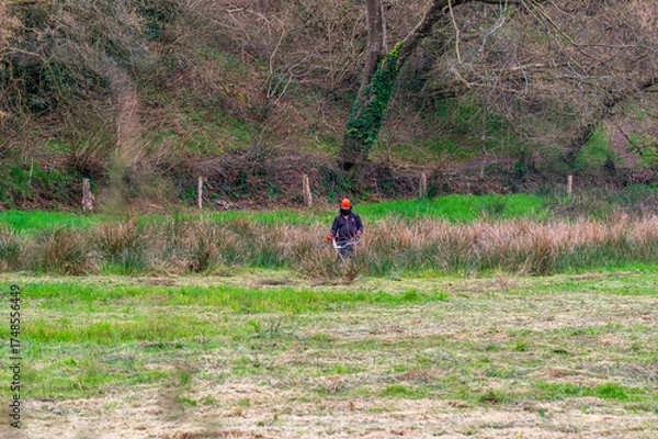 Obraz Chantier de débroussaillage