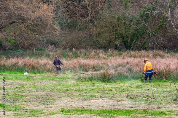 Obraz Chantier de débroussaillage