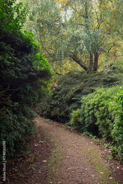 Obraz Autumn leaves blanket the forest floor in vibrant red, orange, and yellow tones. Sunlight filters softly through the trees, creating a warm, golden glow.