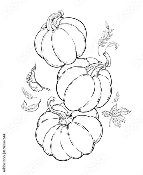 Obraz hand drawn vegetables