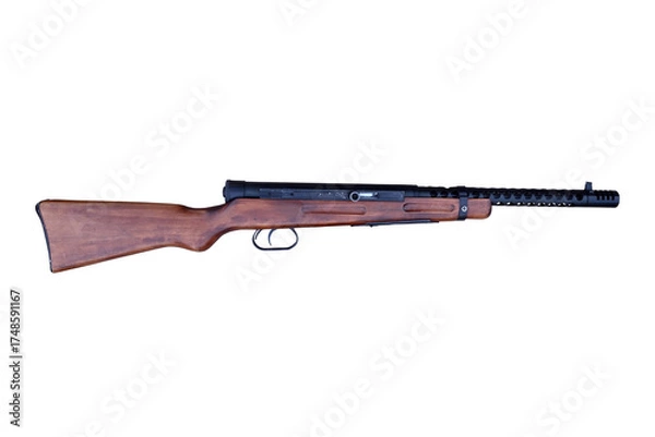 Obraz historical rifle
