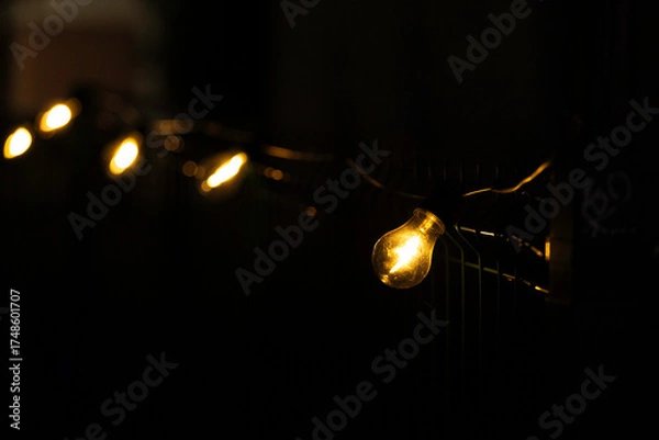 Obraz light bulbs in the dark