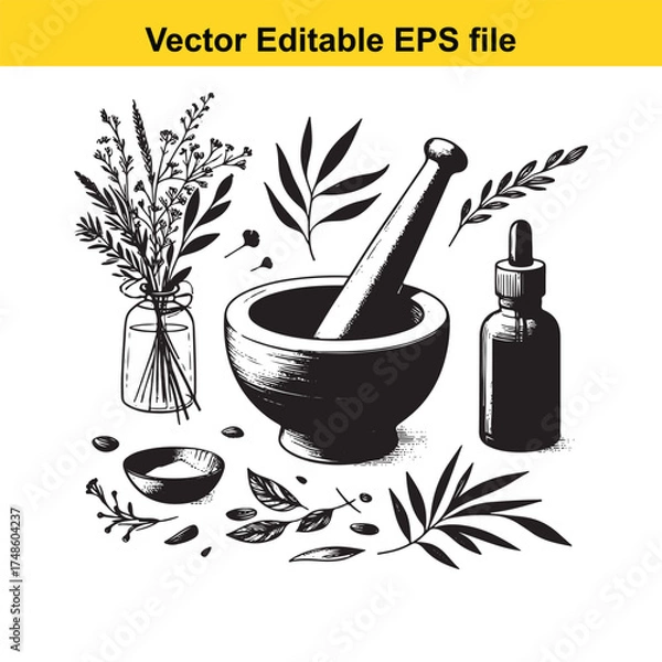 Fototapeta Vector art of herbal medicine preparation with mortar and pestle, botanical elements, and essential oil bottle