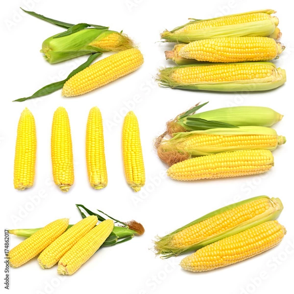Fototapeta Corn with skin or without skin isolated on white background. A collection of corn. Top view, flat