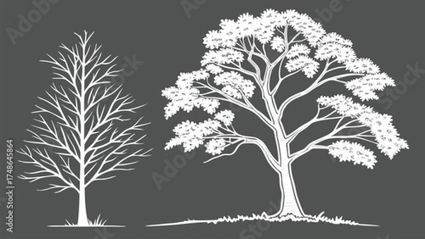 Fototapeta CAD Tree Line Minimal Style Vector Set of Outline Tree Symbols for Architecture and Landscape Design Drawing