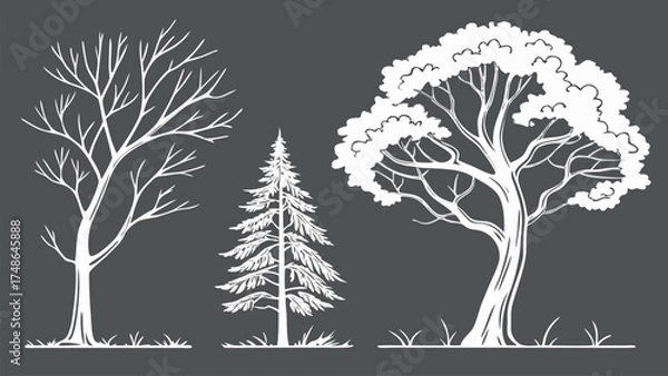 Fototapeta CAD Tree Line Minimal Style Vector Set of Outline Tree Symbols for Architecture and Landscape Design Drawing
