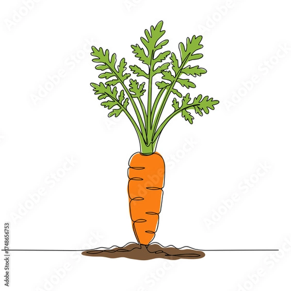 Fototapeta Carrot in ground, bright orange carrot growing in soil with leafy green tops, simple minimal color drawing