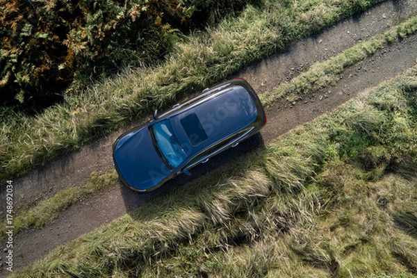 Fototapeta A dark-colored vehicle drives along a rough dirt path lined with tall grass and dense foliage, showcasing the beauty of a tranquil outdoor environment in bright sunlight.