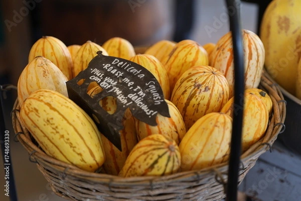 Fototapeta delicata squash 