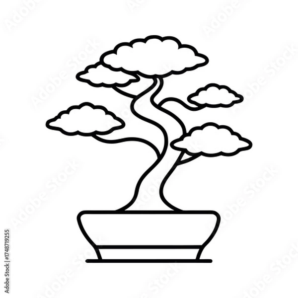 Fototapeta Bonsai Tree Outline Drawing Vector