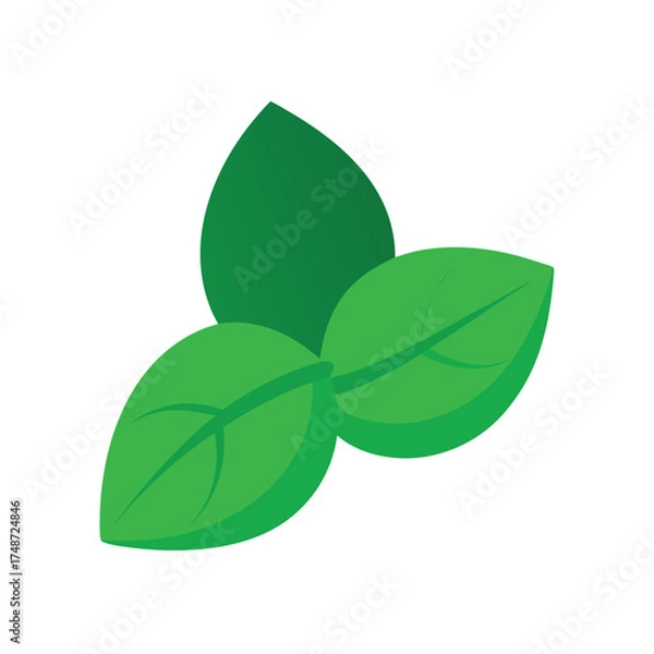 Obraz  green basil leaves with smooth shape