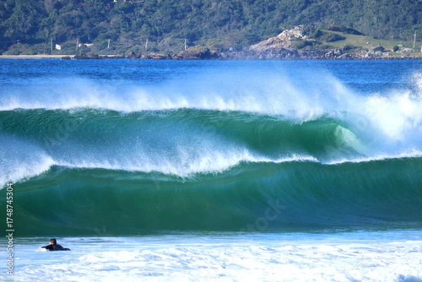 Obraz surfing the wave