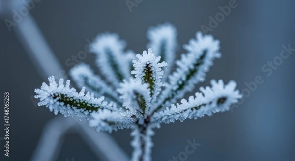 Fototapeta a frozen plant covered in delicate ice crystals. The frost highlights the plant’s fine details, creating a cold, wintery, and natural aesthetic.