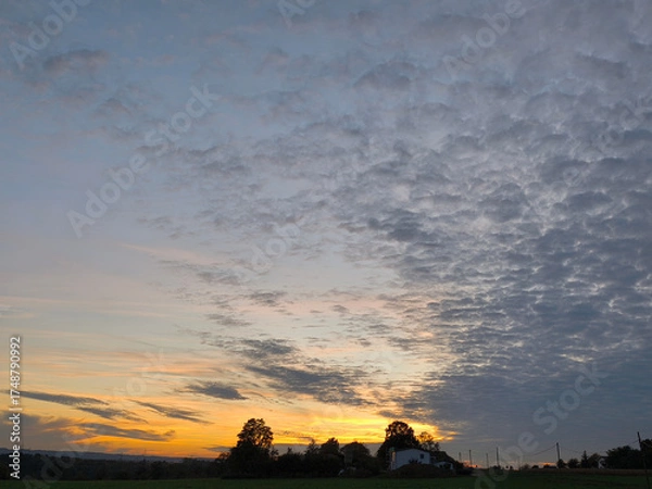 Obraz Sunset over the fields