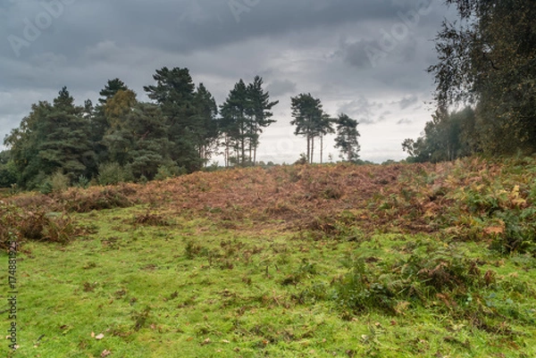 Obraz Skyline Knettishall Heath.