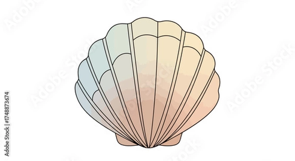 Fototapeta A detailed illustration of a single, large scallop shell with radiating ribs and a gradient of pastel colors.