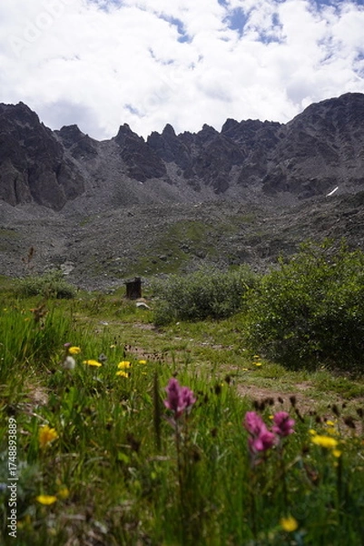 Obraz Mountains and wildflowers